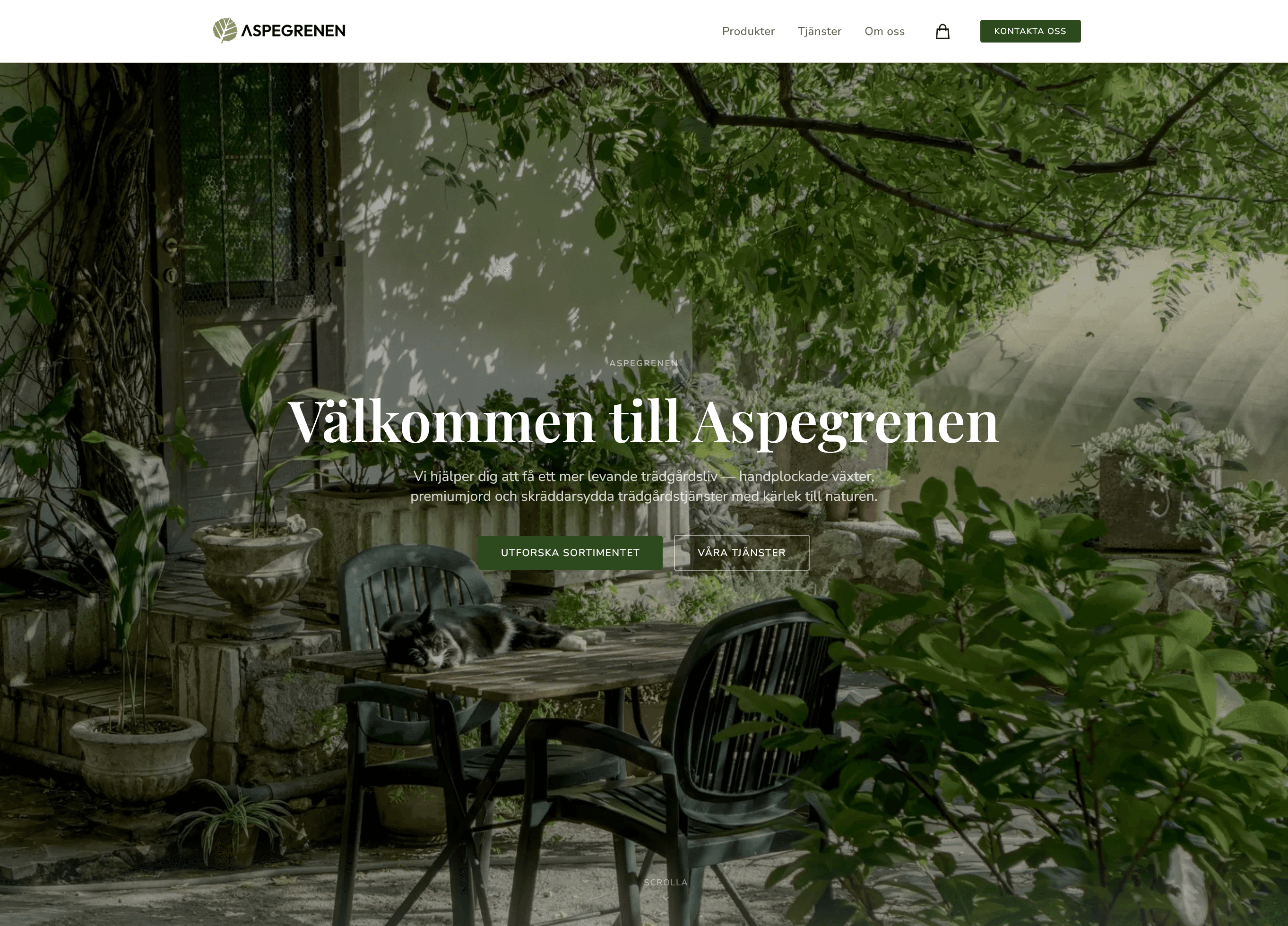Aspegrenen